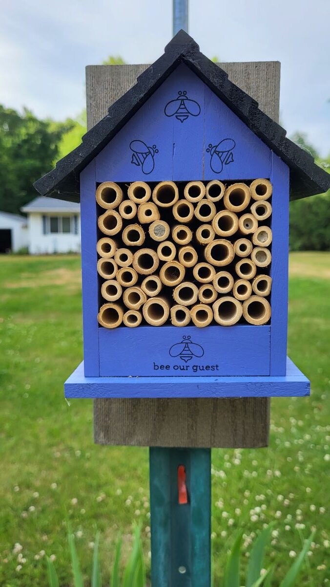 Bee House Updates! (and Catbird!)